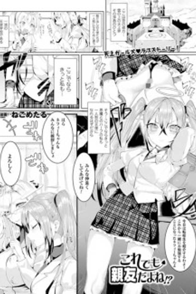 Kore demo Shinyuu da yo ne!?
