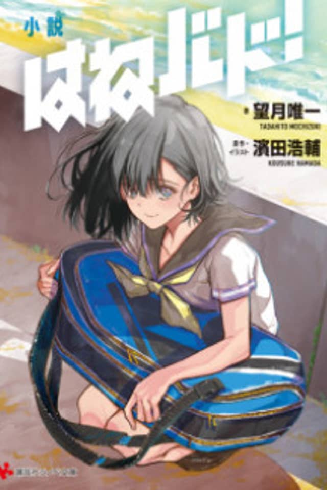 Shousetsu Hanebado!