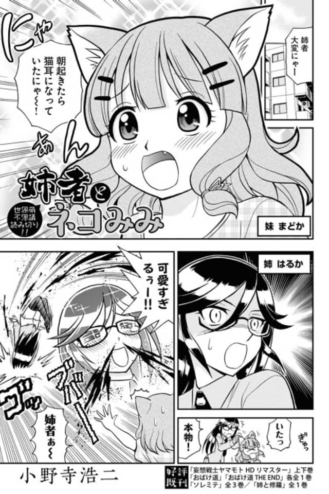 Aneja to Nekomimi