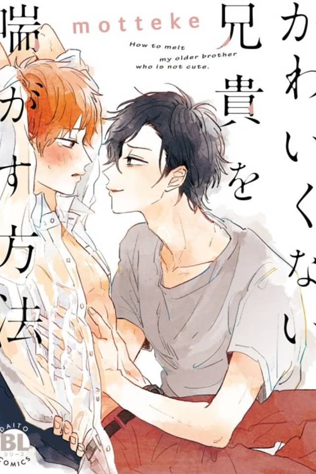 How to Melt My Older Brother Who Is Not Cute.