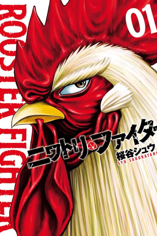 Rooster Fighter