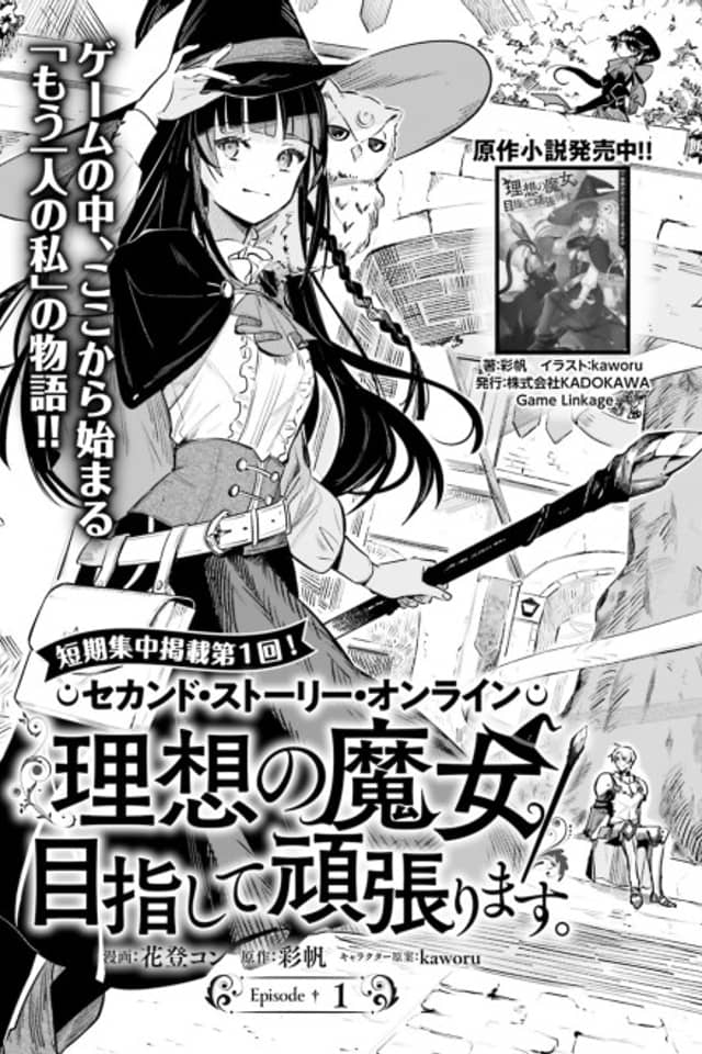 Second Story Online: Aiming To Become The World's Number 1. Ideal Witch