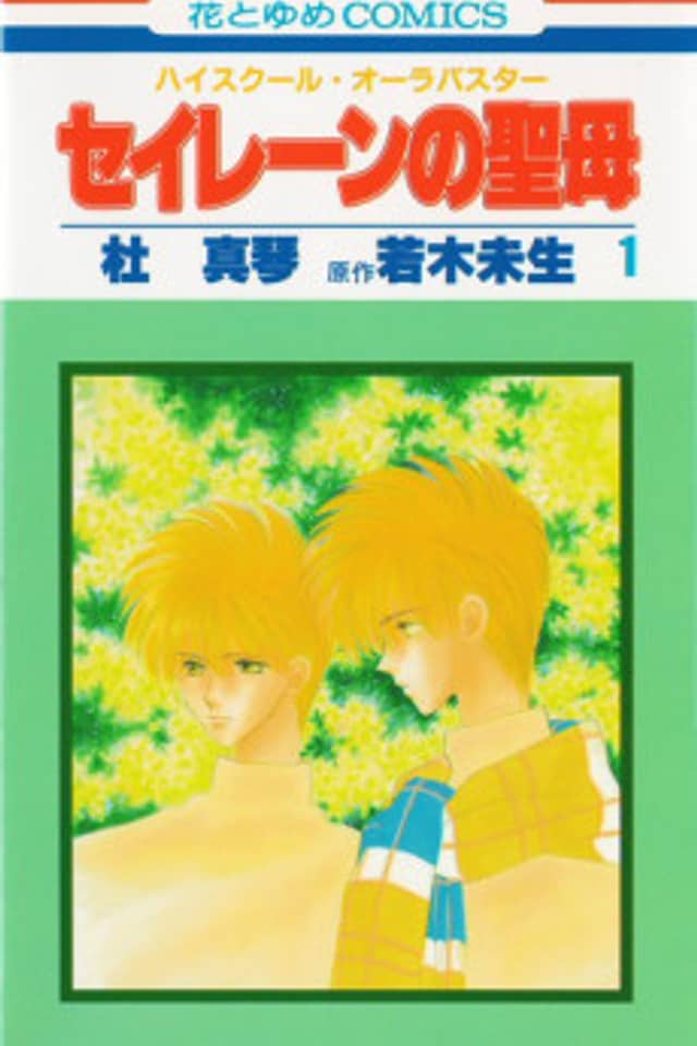 Seirain no Madonna: High School Aura Buster