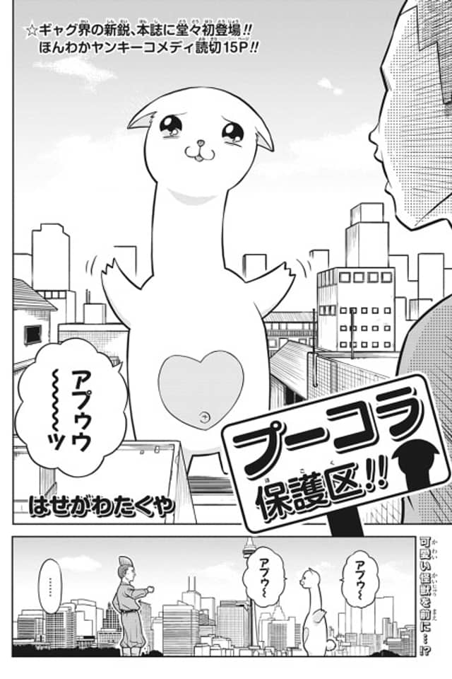 Pukora Hogoku