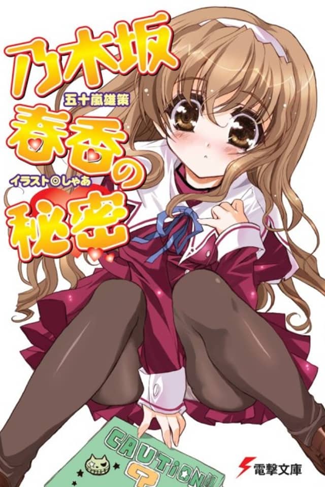 Nogizaka Haruka's Secret