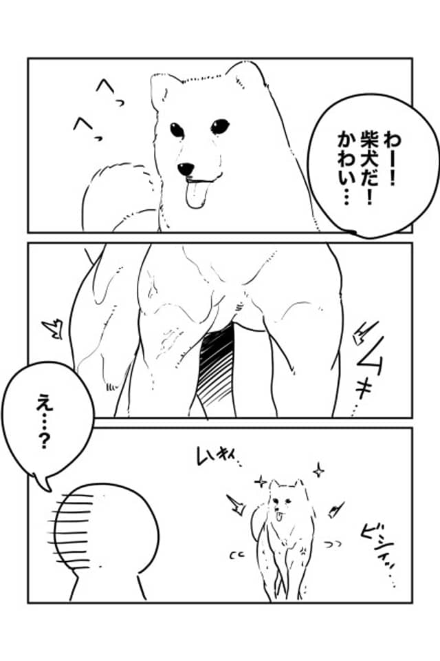 Level 100 no Shiba Inu