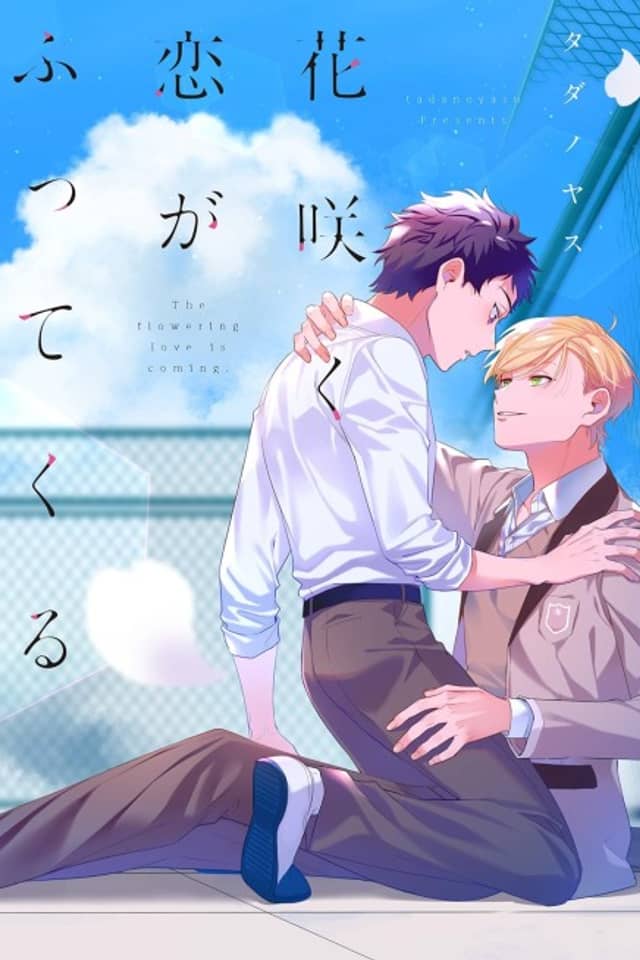 The Falling Blossoms of Love