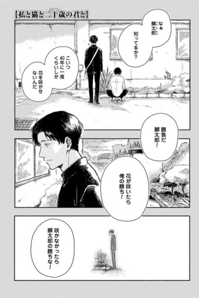 Watashi to Neko to Hatachi no Kimi to