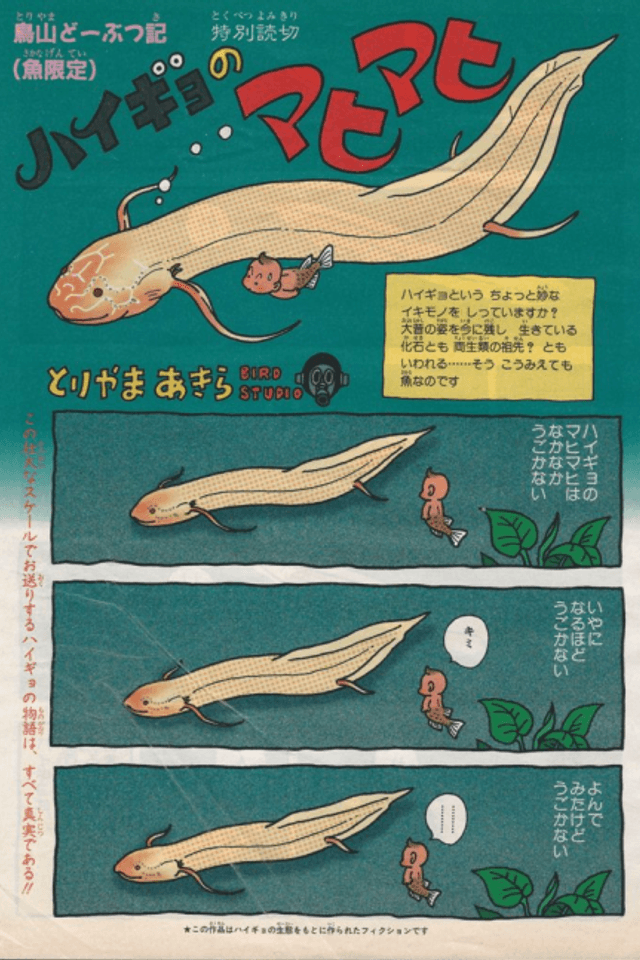 Mahimahi the Lungfish