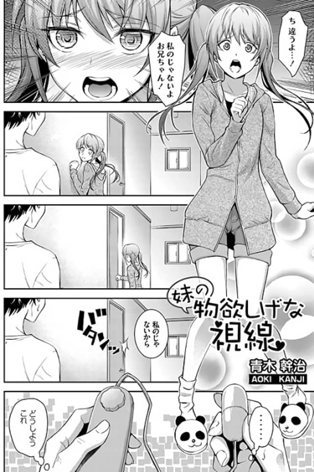 Imouto no Mono Hoshige na Shisen
