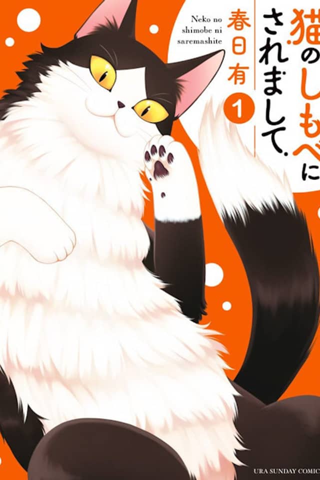 I Became a Cat's Servant