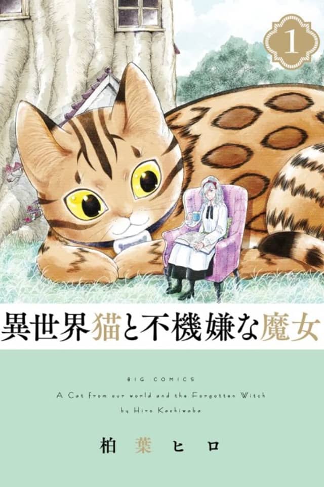 A Cat From Our World and the Forgotten Witch