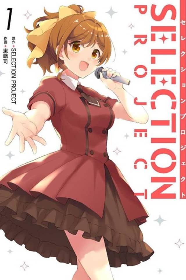 SELECTION PROJECT