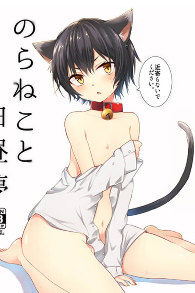 Noraneko to Hakuchuumu