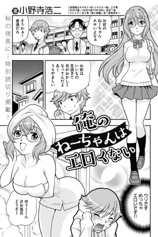 Ore no Nee-chan wa Erokunai