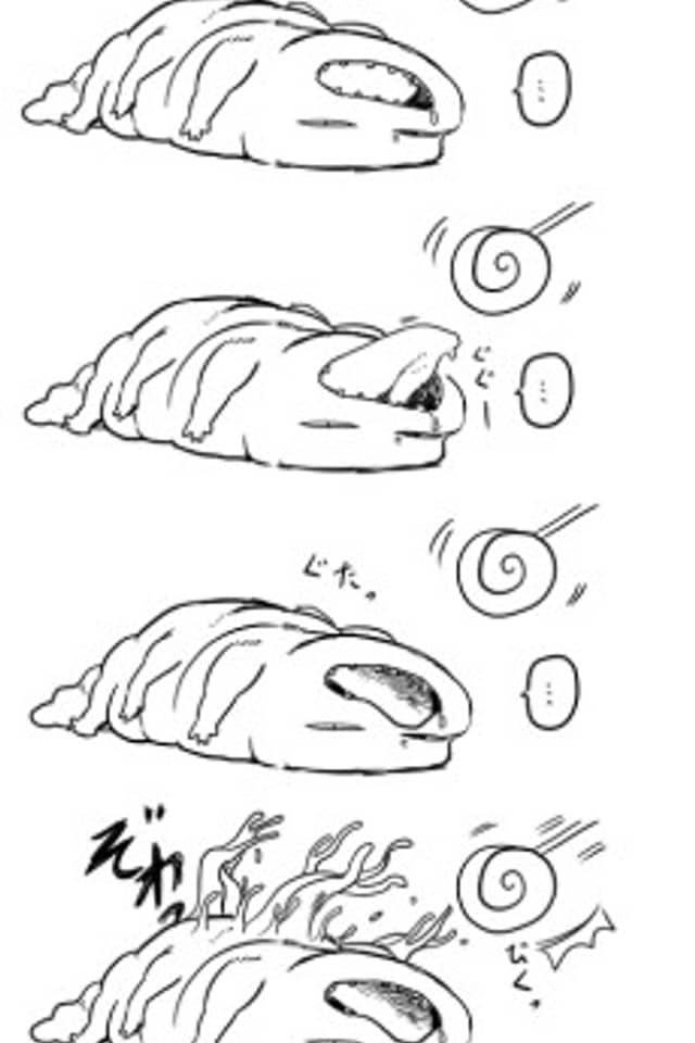 Kumamushi Modoki-san
