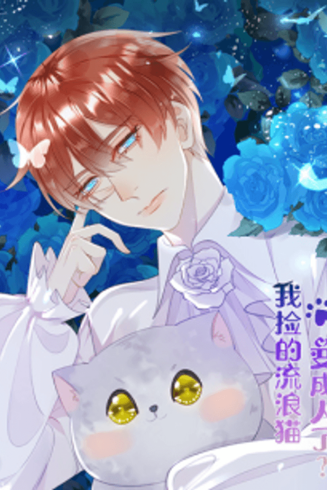 This Stray Cat Ain't Straight