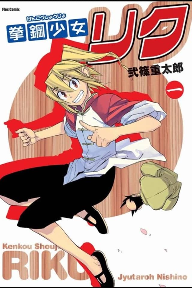 Steel Fist Riku