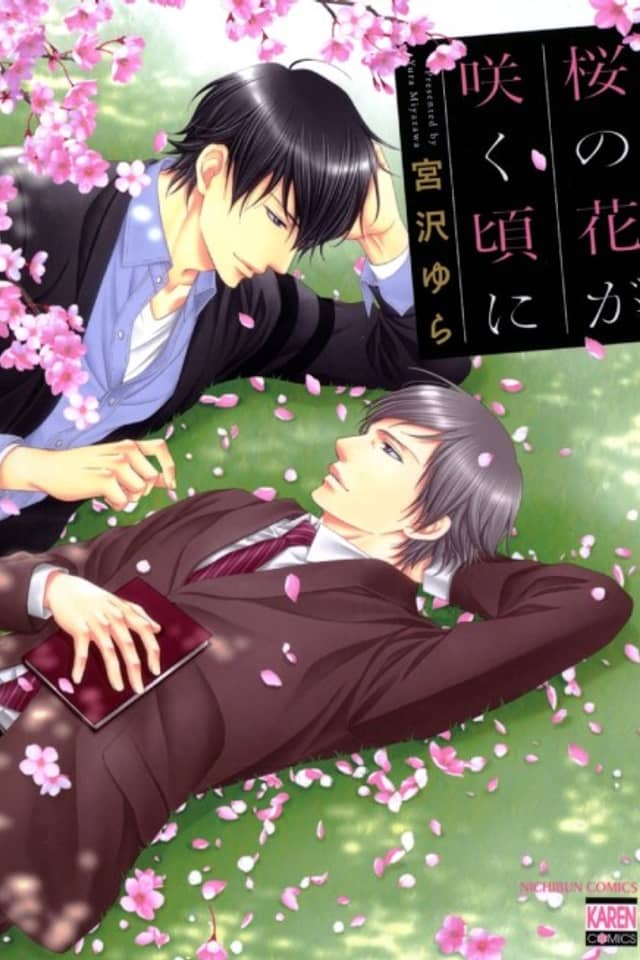 When the Cherry Blossoms Bloom