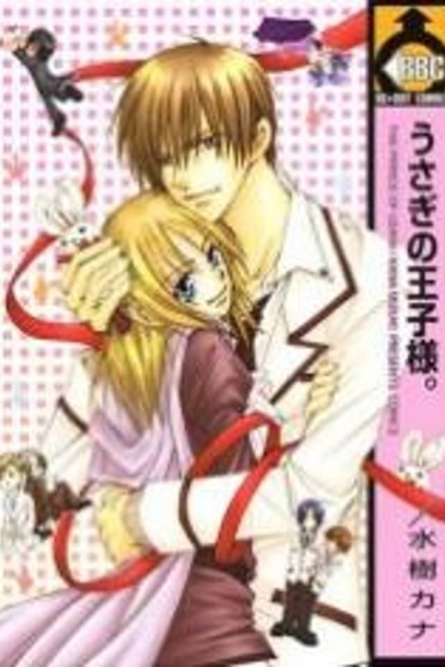 The Prince Of Usagi