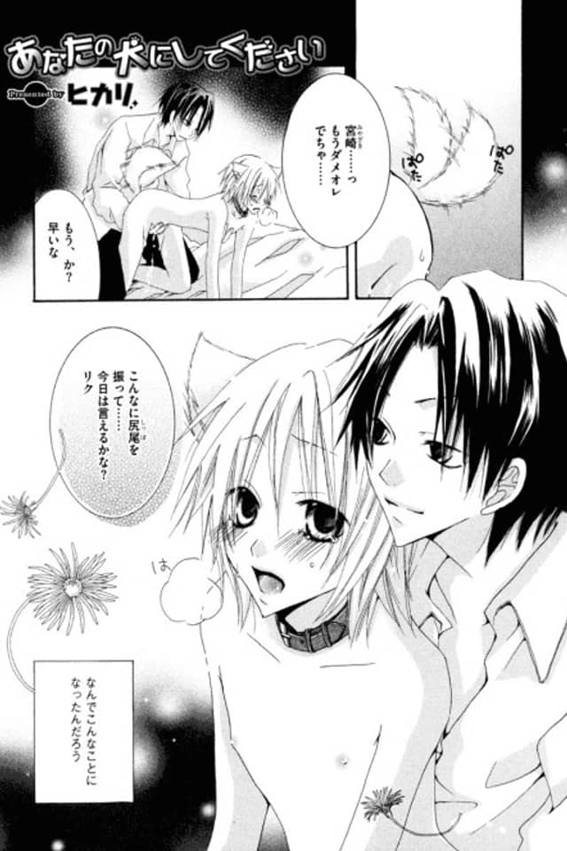 Anata no Inu ni Shite Kudasai