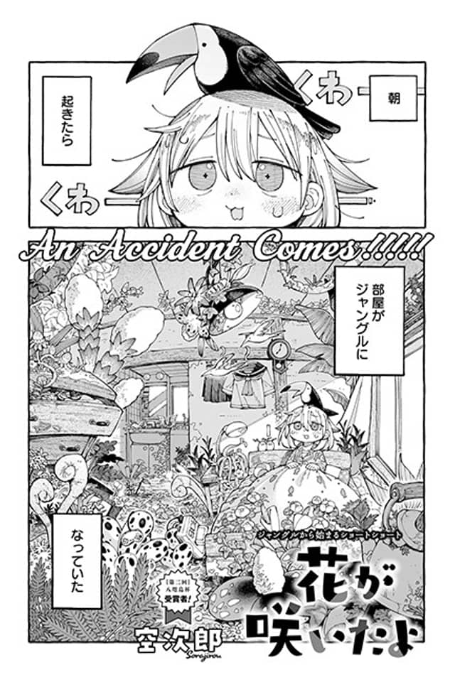 Hana ga Saita yo