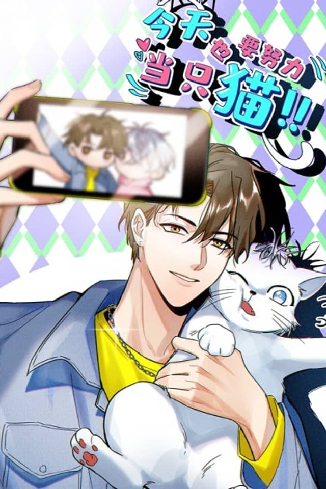 My Cat Lover