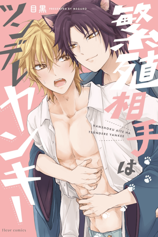 Hanshoku Aite wa Tsundere Yankee