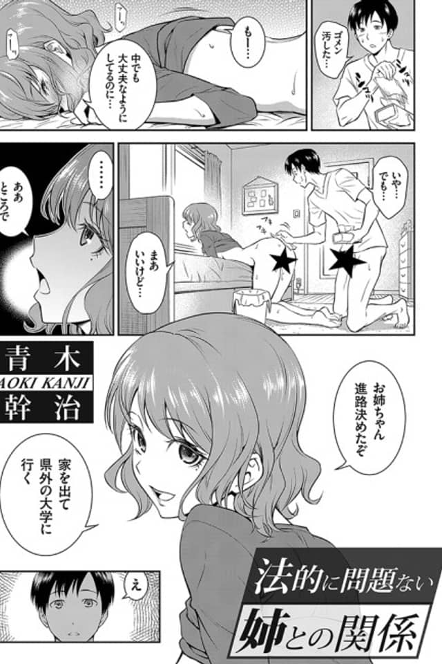 Houteki ni Mondai Nai Ane to no Kankei