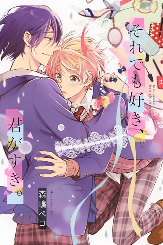 Soredemo Suki, Kimi ga Suki.