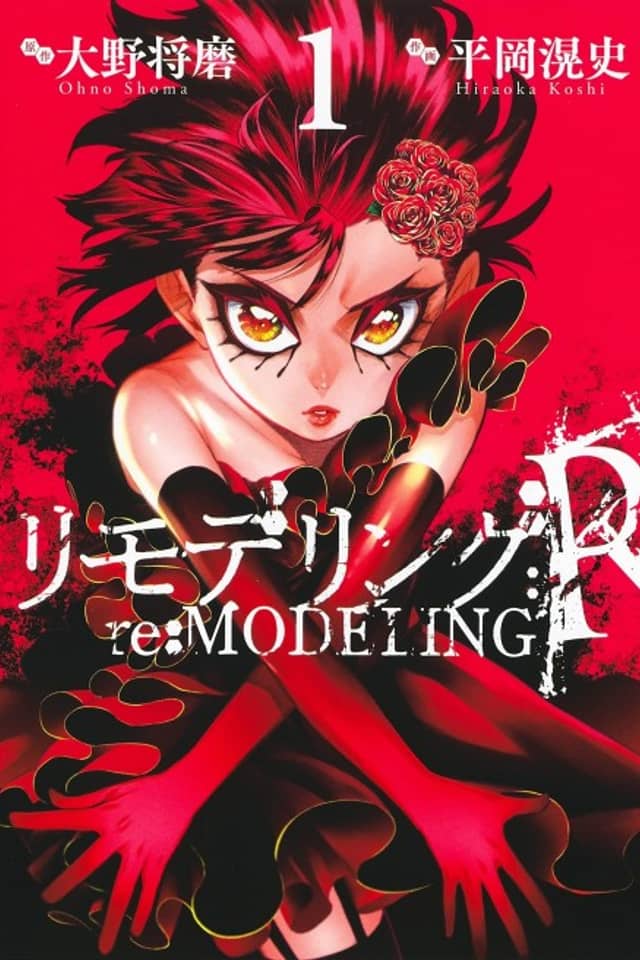 Re:Modelling:R