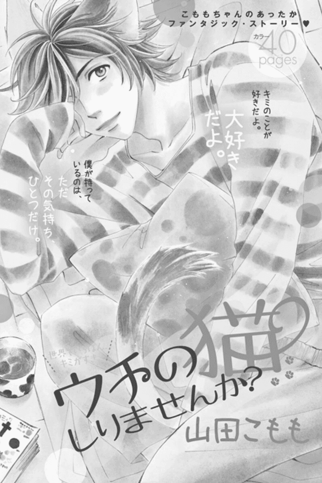 Uchi no Neko Shirimasenka?