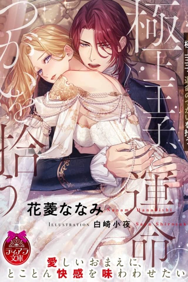 Gokujou Ouji, Unmei no Tsugai wo Hirou
