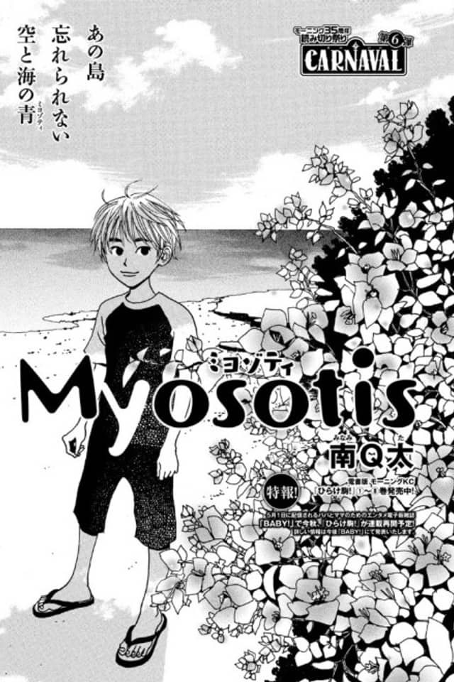 Myosotis