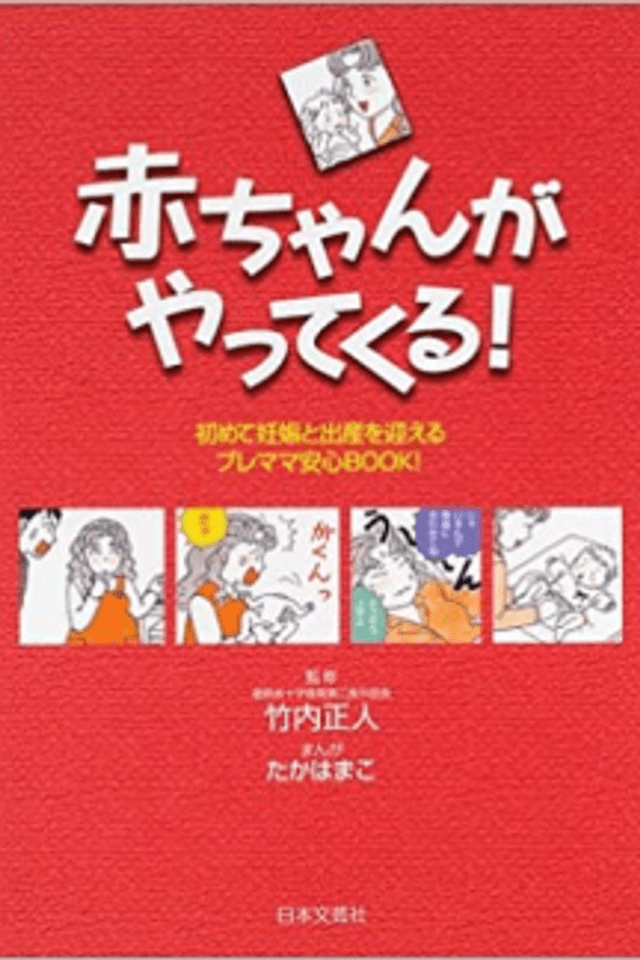 Akachan ga Yattekuru Hajimete! Ninshin to Shussan wo Mukaeru Pure Mama Anshin BOOK!