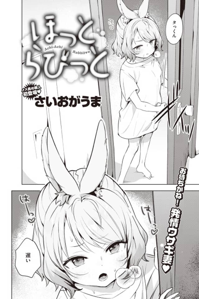 Hot Rabbit