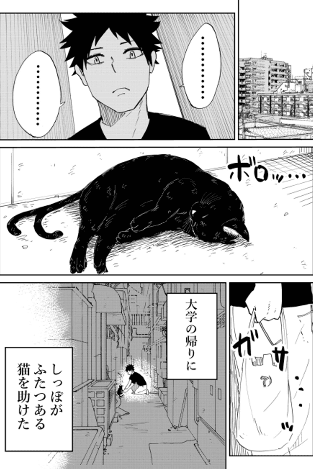 The Cat Who Wanted to be a Bride