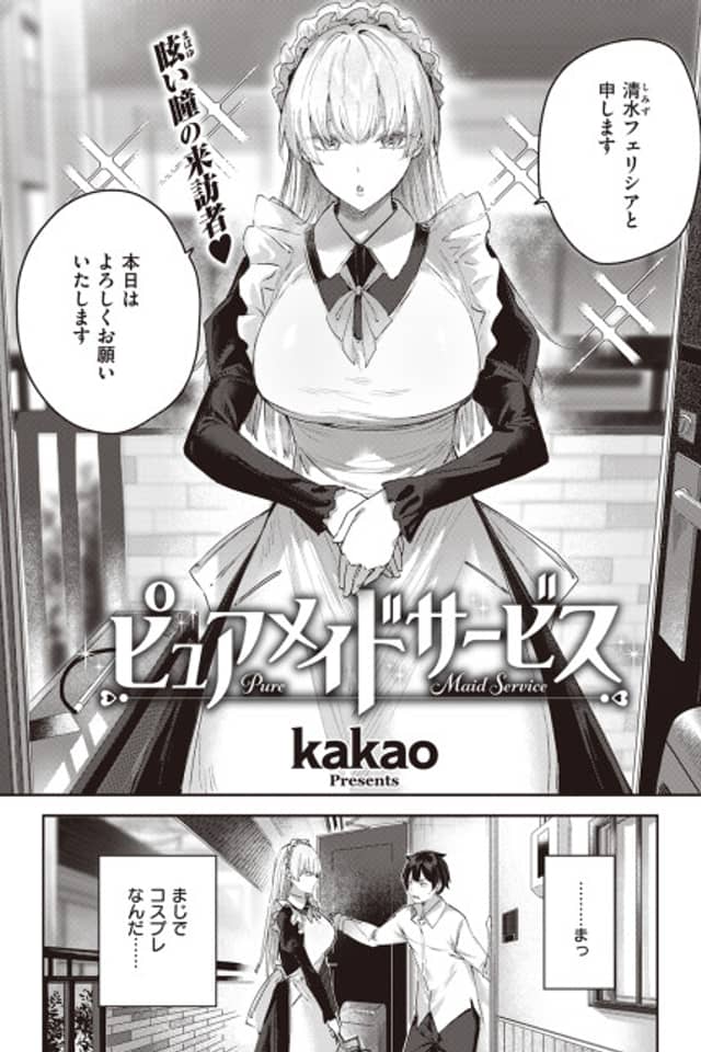 Pure Maid Service