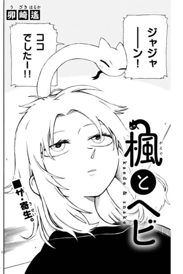 Kaede & Snake