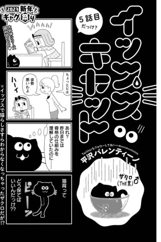 Yips Cat