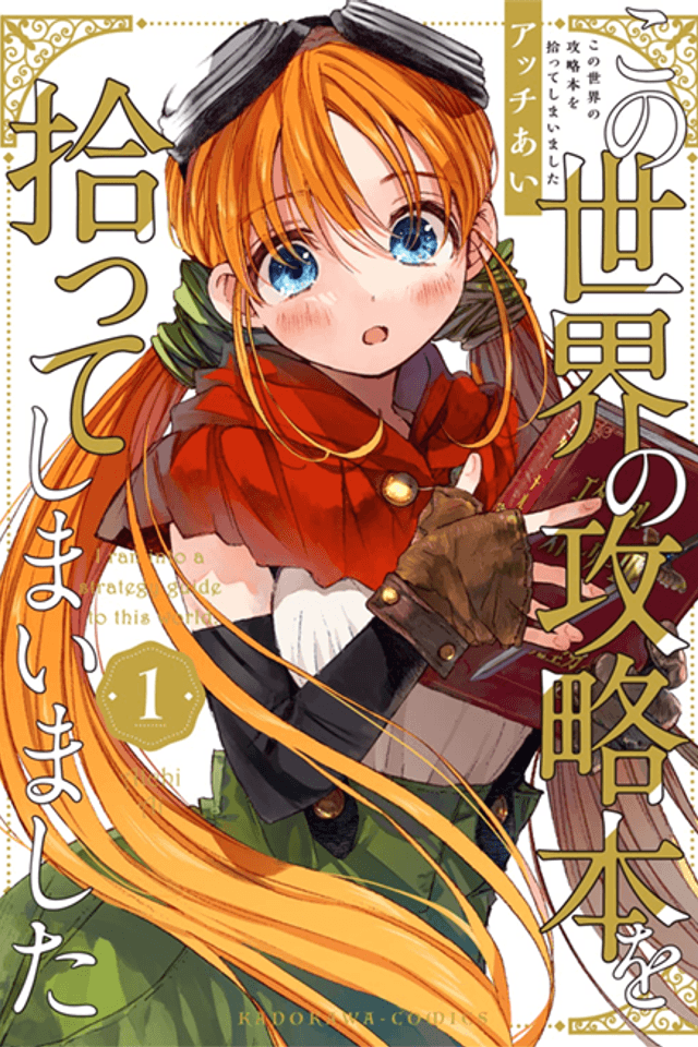 I Picked Up This World's Strategy Guide