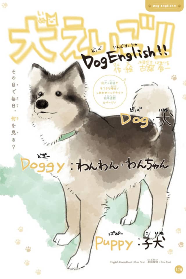 Inu Eigo!!