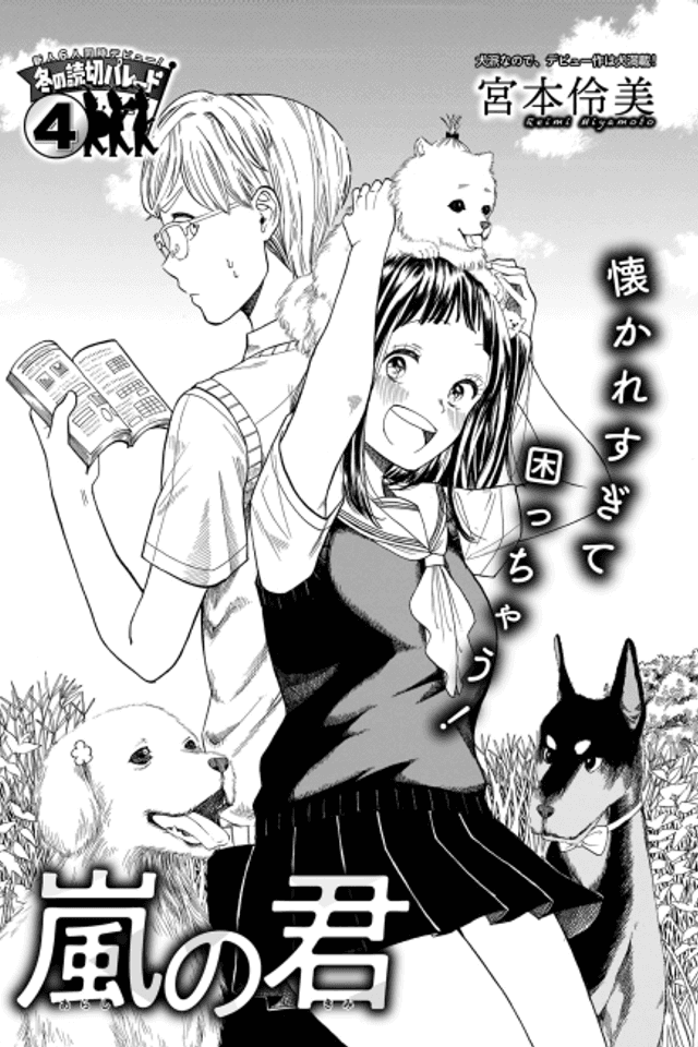 Arashi no Kimi