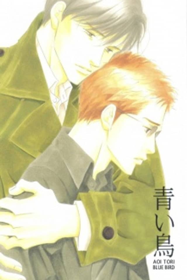 Seiyou Kottou Yougashiten dj