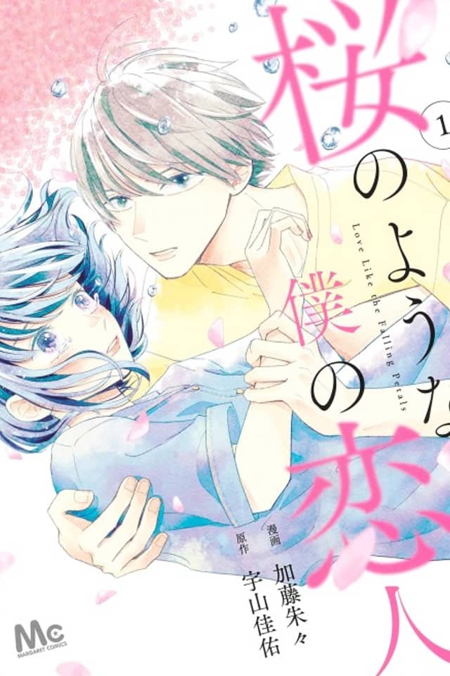 Sakura no Youna Boku no Koibito