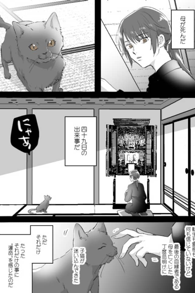 Neko to Ko to Haha
