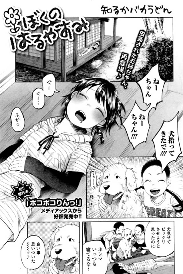 Boku no Haruyasumi