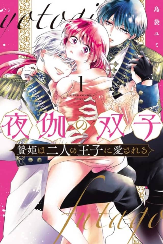 Yotogi no Futago: Niehime wa Futari no Ouji ni Aisareru